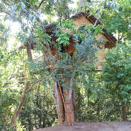 Tree House-Midigama Villa Weligama Kültér fotó