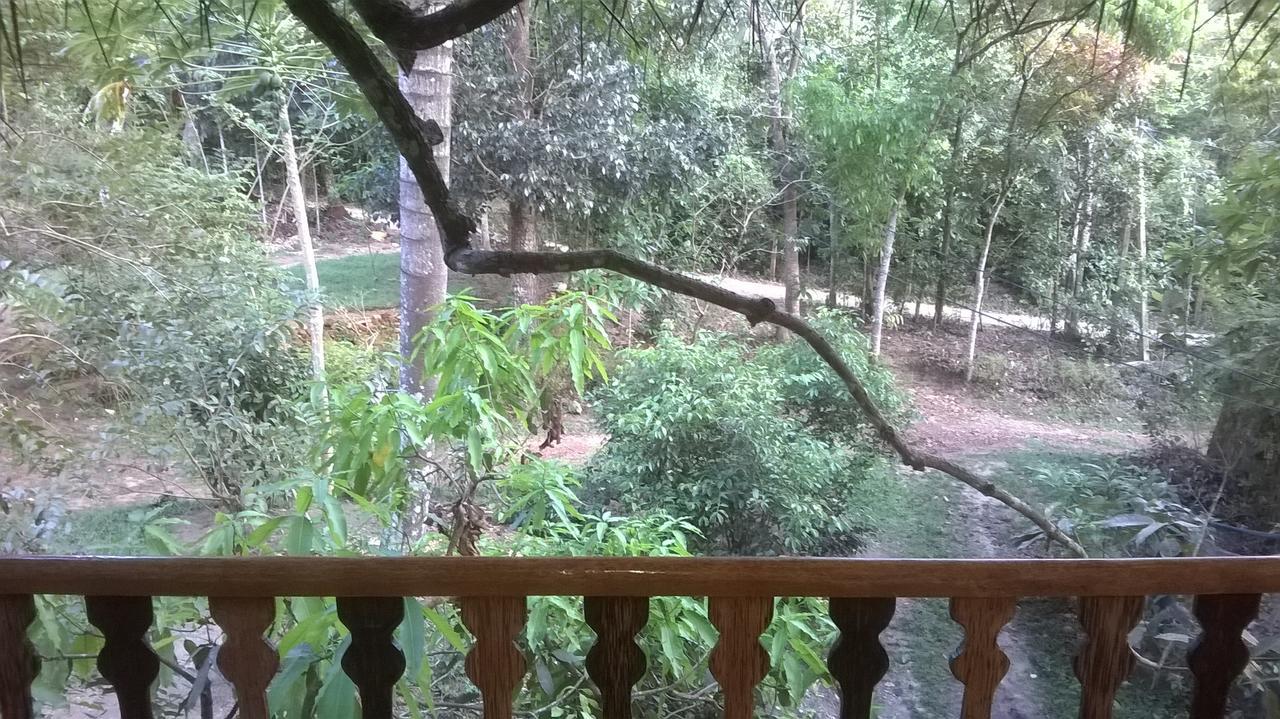 Tree House-Midigama Villa Weligama Kültér fotó