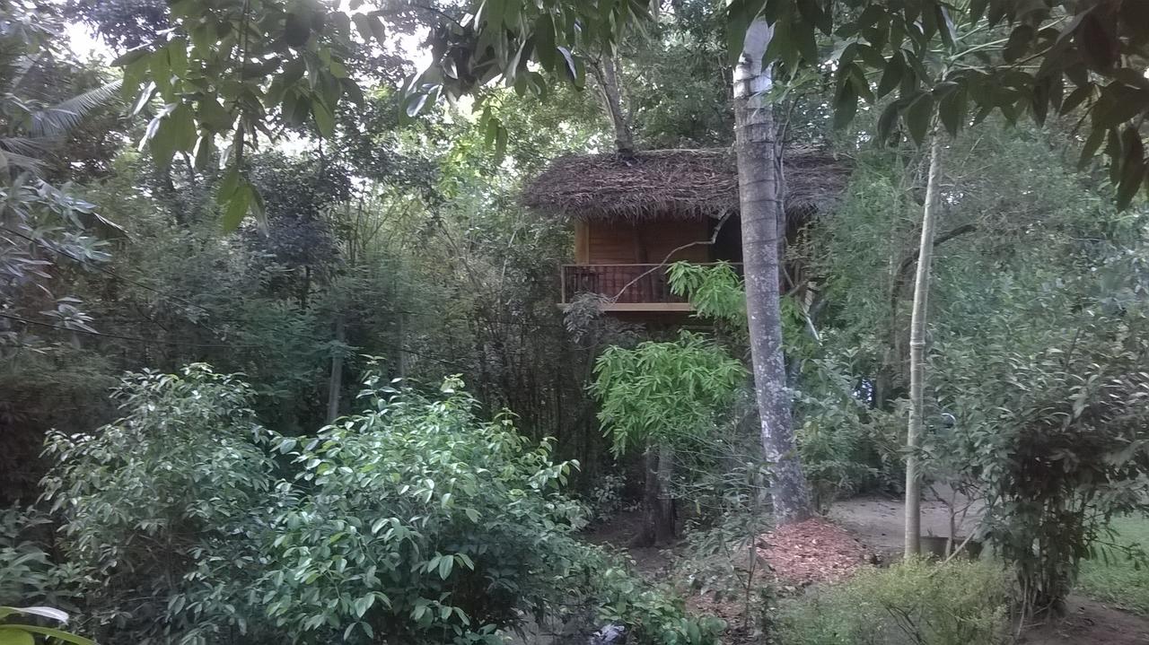 Tree House-Midigama Villa Weligama Kültér fotó