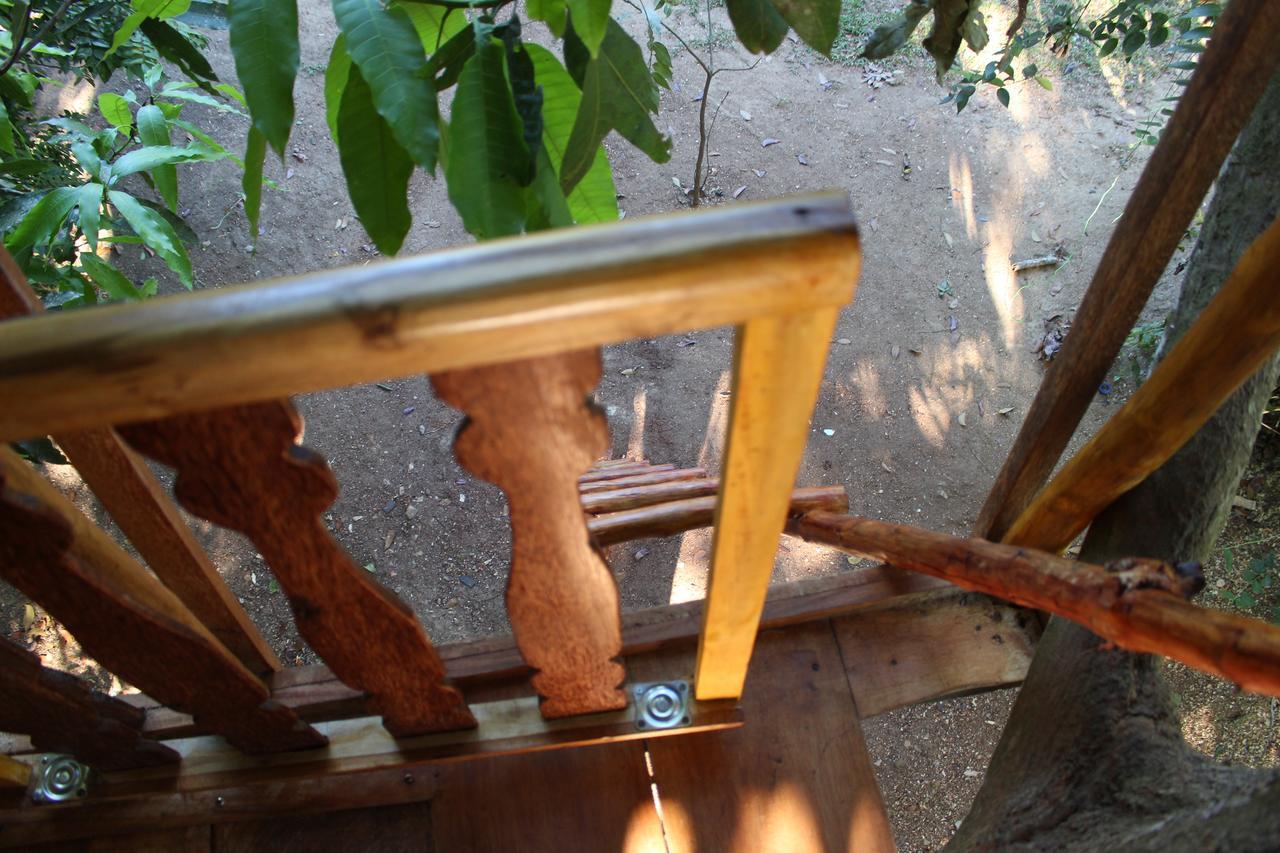 Tree House-Midigama Villa Weligama Kültér fotó