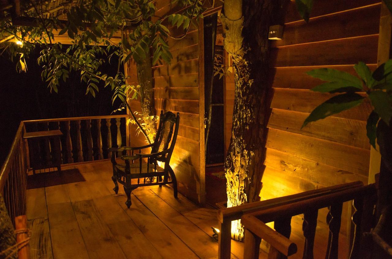 Tree House-Midigama Villa Weligama Kültér fotó