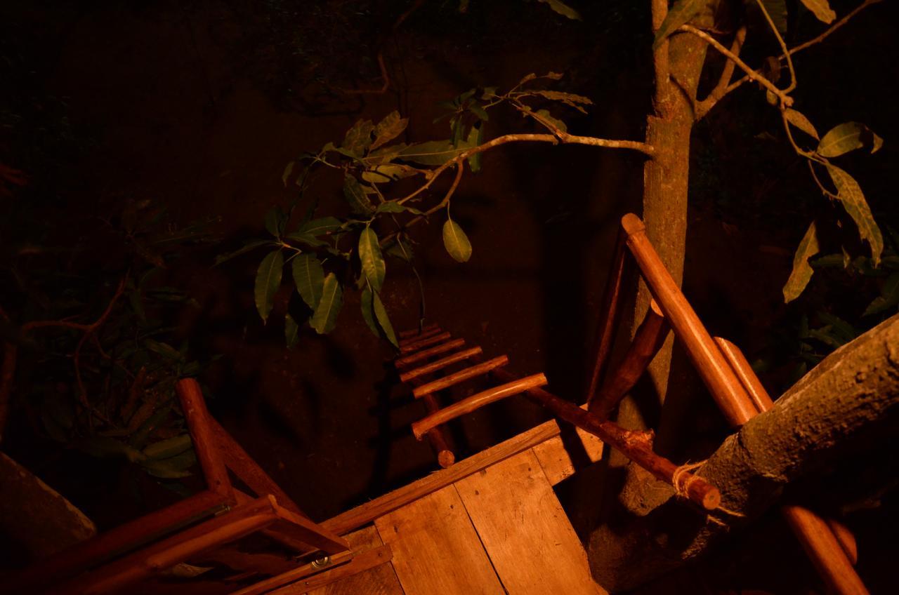 Tree House-Midigama Villa Weligama Kültér fotó