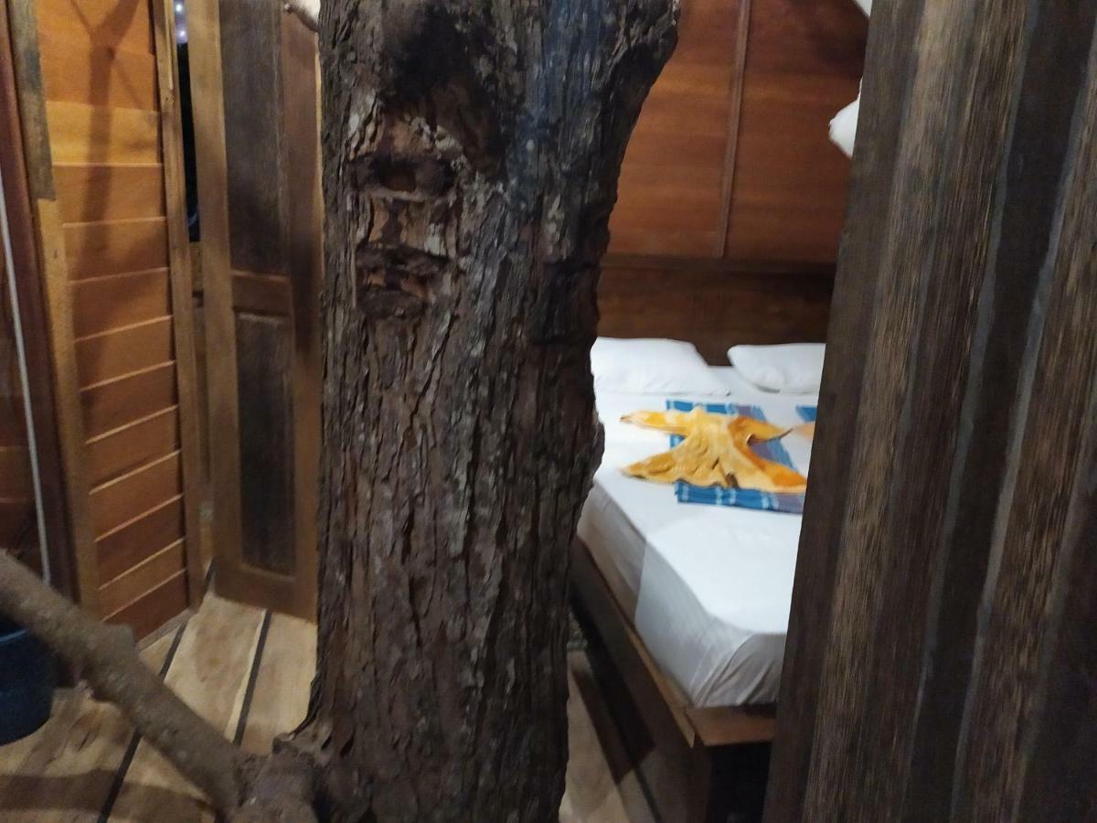 Tree House-Midigama Villa Weligama Kültér fotó