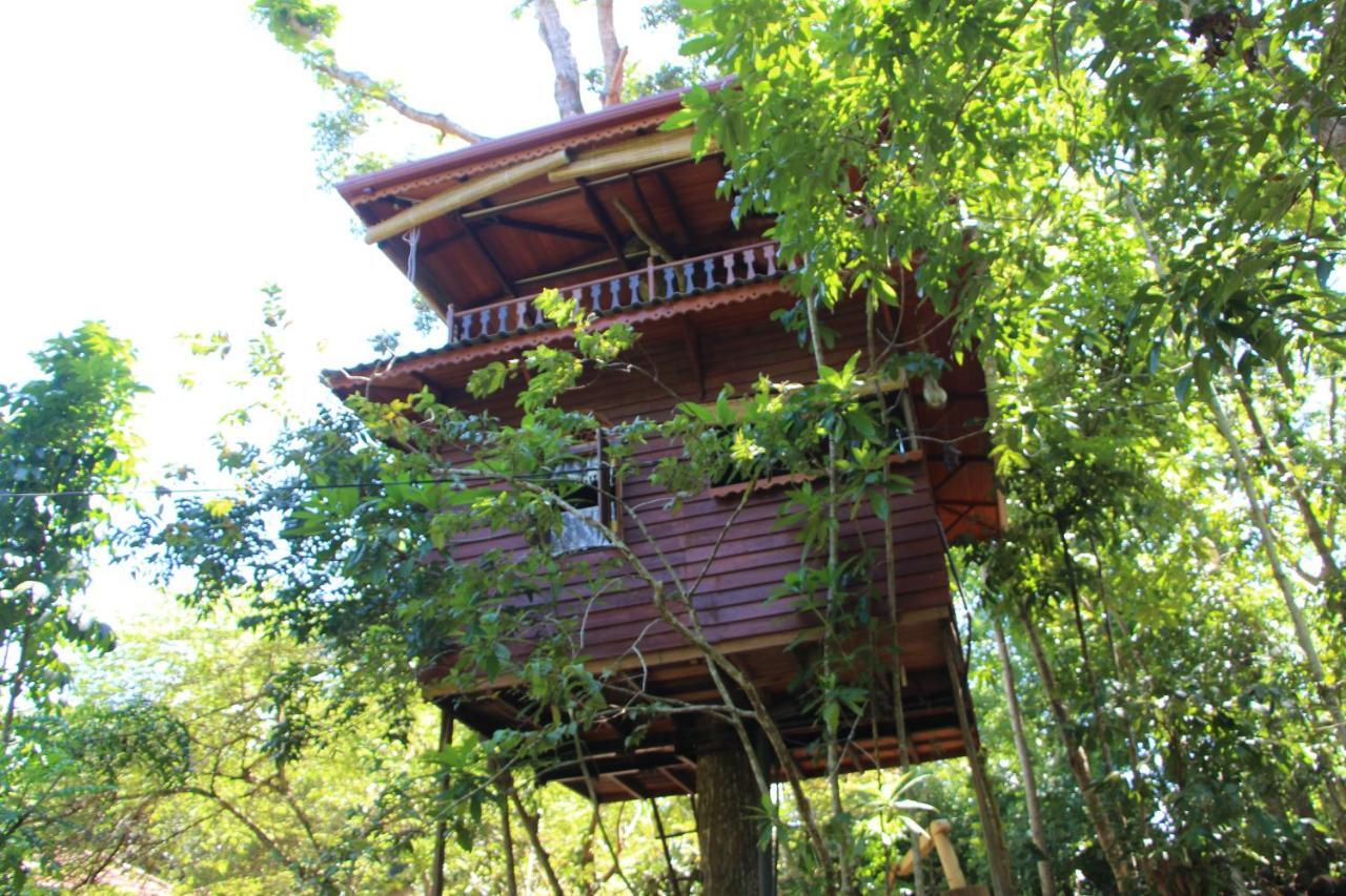 Tree House-Midigama Villa Weligama Kültér fotó