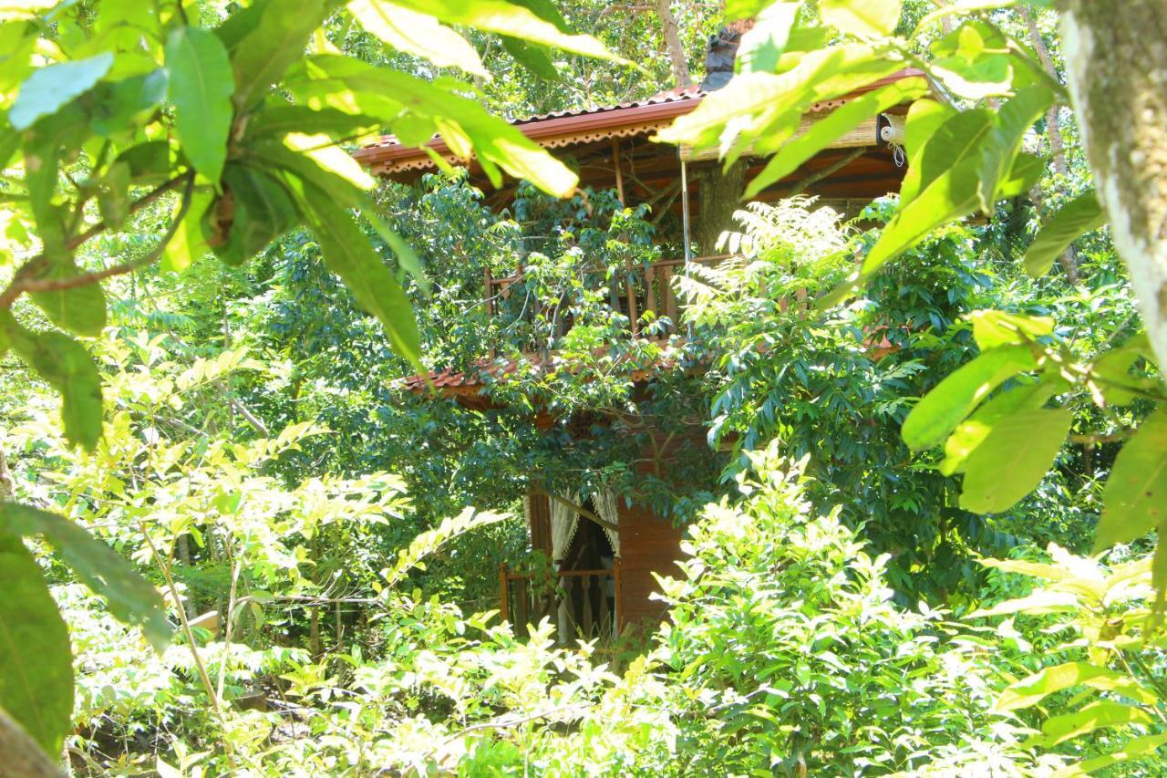Tree House-Midigama Villa Weligama Kültér fotó