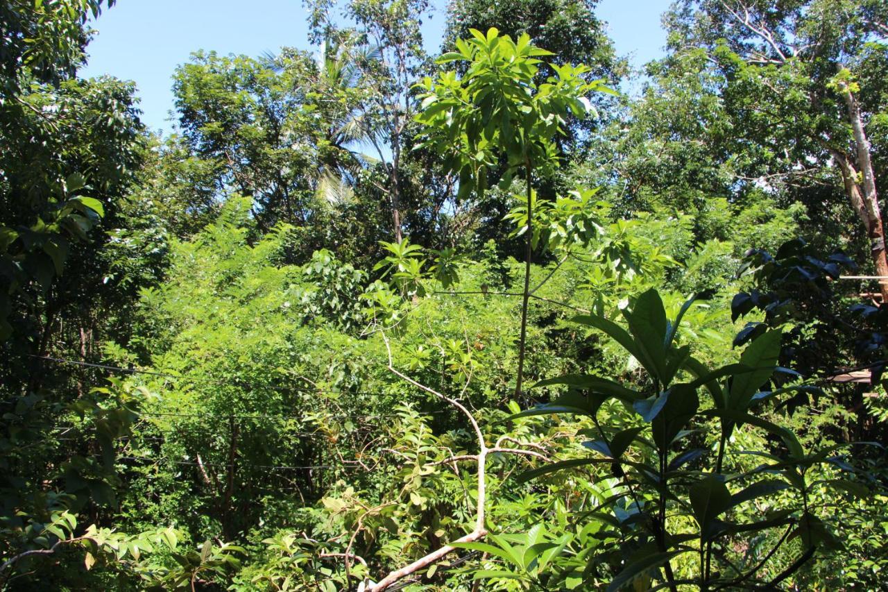 Tree House-Midigama Villa Weligama Kültér fotó