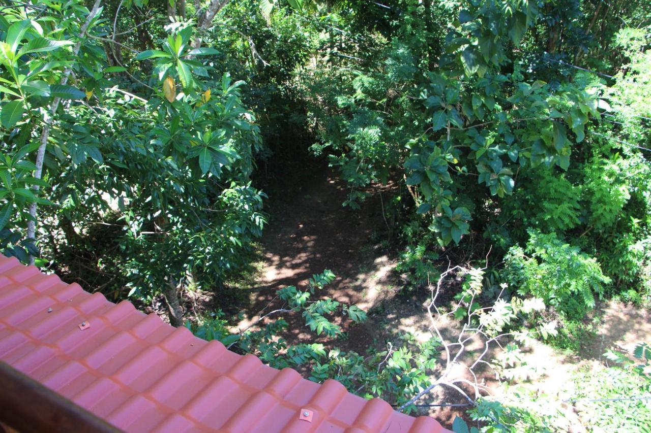 Tree House-Midigama Villa Weligama Kültér fotó