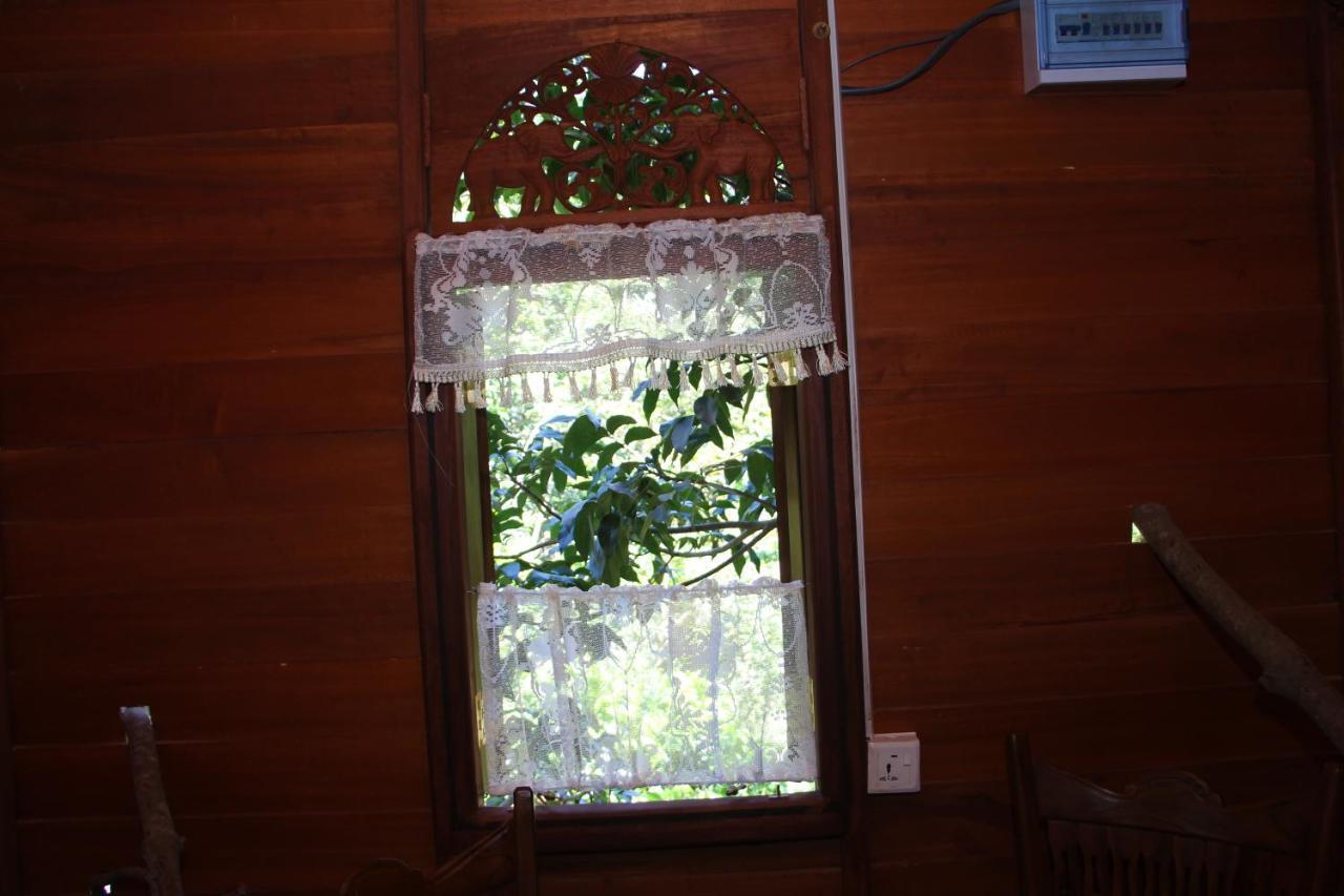 Tree House-Midigama Villa Weligama Kültér fotó