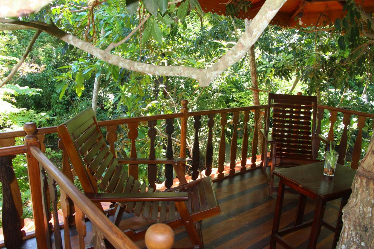 Tree House-Midigama Villa Weligama Kültér fotó