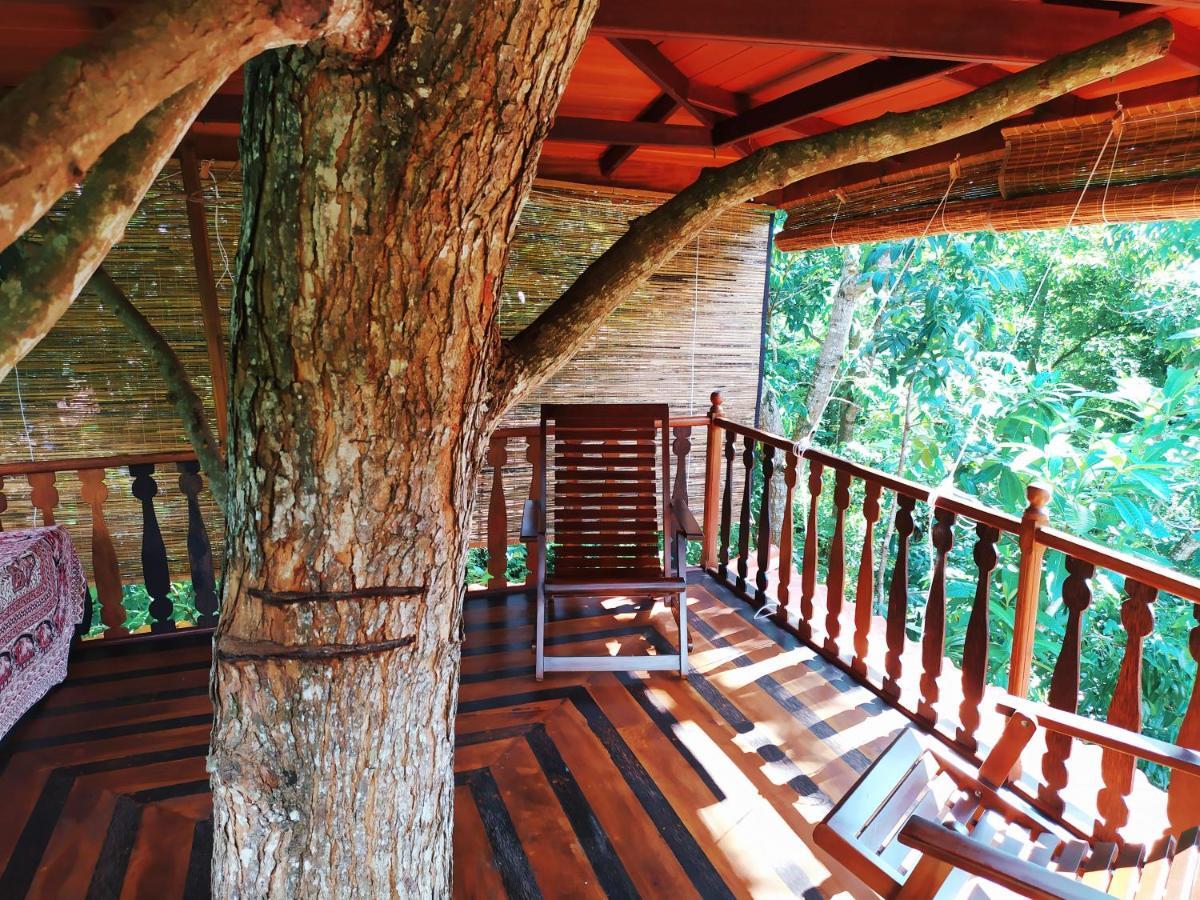 Tree House-Midigama Villa Weligama Kültér fotó