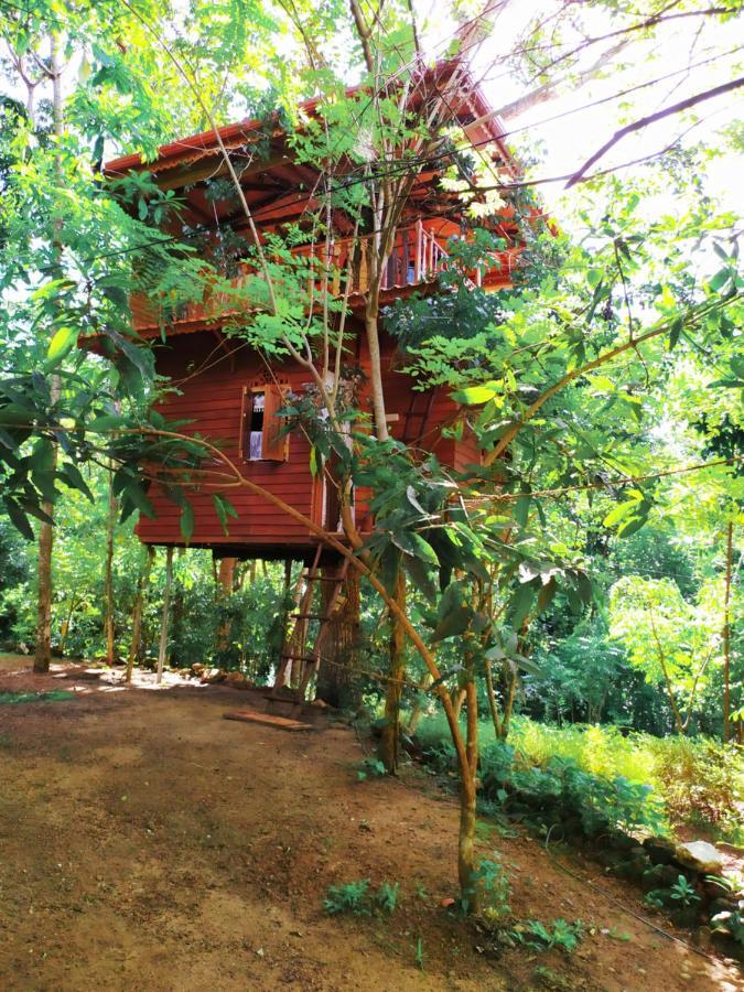 Tree House-Midigama Villa Weligama Kültér fotó
